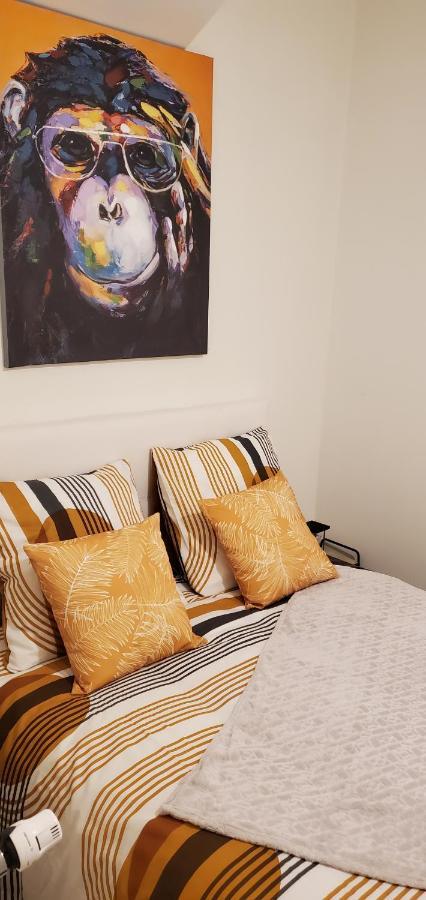 Triangle D'Or - Calme Et Cosy, Appartement 1 Chambre 圣康坦 外观 照片